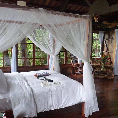Rio Magnolia Nature Lodge Tinamaste 외부 사진