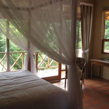 Rio Magnolia Nature Lodge Tinamaste 외부 사진