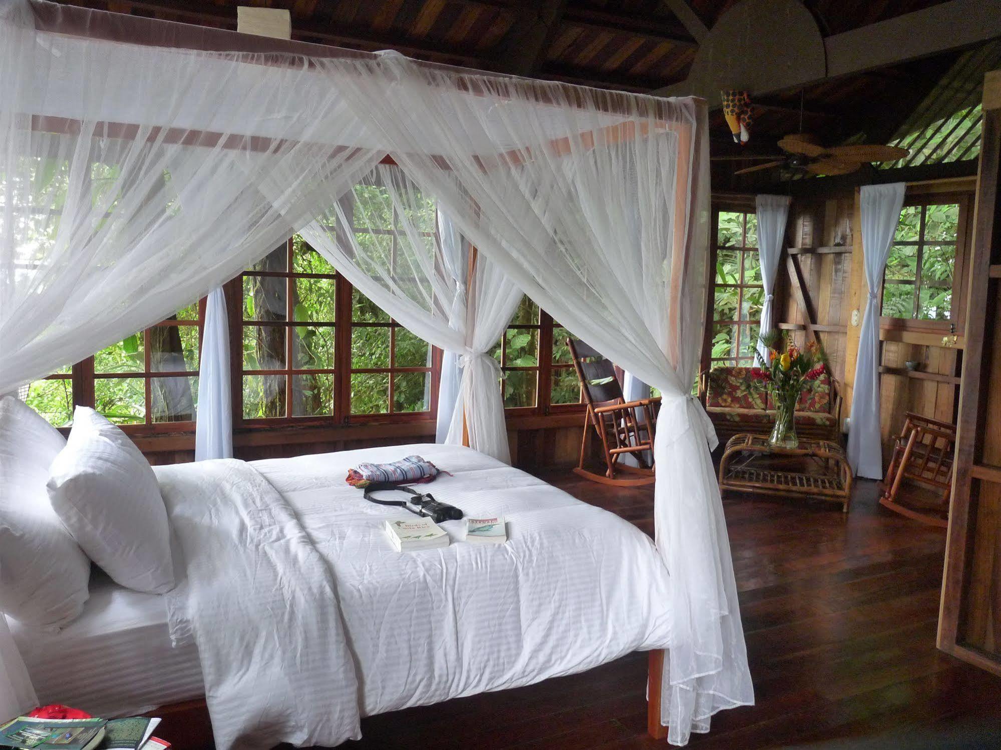 Rio Magnolia Nature Lodge Tinamaste 외부 사진