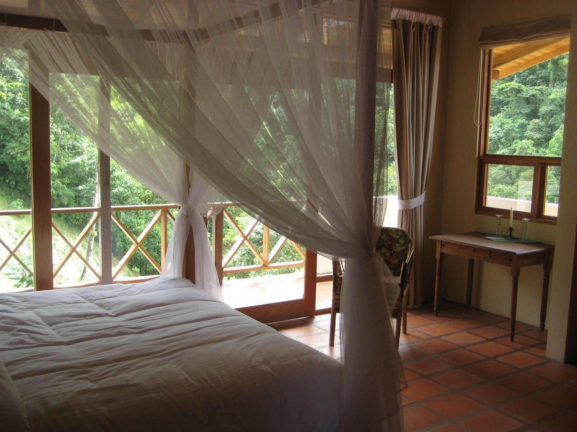 Rio Magnolia Nature Lodge Tinamaste 외부 사진
